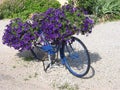 Blue bicycle