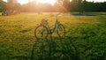 Blue bicycle standing on green lawn under sunshine with shadow on grass in park on Summer day with people on background. Royalty Free Stock Photo