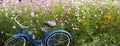 Blue Bicycle Pink Field Flowers Royalty Free Stock Photo