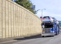 Blue big rig car hauler semi truck transporting cars on the semi trailer running on the road with concrete wall Royalty Free Stock Photo