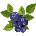 Blue bilberries bunch with leaves flat vector icon