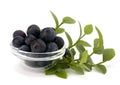Blue bilberry or whortleberry Royalty Free Stock Photo