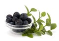 Blue bilberry or whortleberry