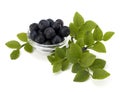 Blue bilberry or whortleberry