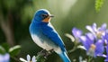 blue bird on the branch wood Royalty Free Stock Photo