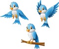 Blue bird cartoon Royalty Free Stock Photo