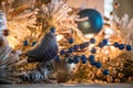 A blue bird Christmas ornament sitting in flocked garland