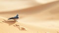 A Blue Bird In Desertwave: Soft, Romantic Landscapes In 8k Resolution