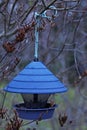 A blue bird feeder hanging in a rowan tree Royalty Free Stock Photo