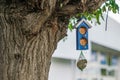 The blue bird feeder is suspended from a large tree. Net with poultry food Royalty Free Stock Photo