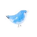 Blue bird hand drawn watercolor aquarelle illustration. Royalty Free Stock Photo