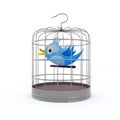 Blue bird inside the cage that chirps