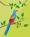 Blue bird with a long tail, sitting on a branch with green leave