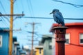 a blue bird perched on top of a red pole