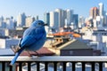 a blue bird sits on a railing overlooking a city