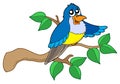 Blue bird sitting on branch