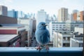 a blue bird sitting on a ledge in front of a city Royalty Free Stock Photo