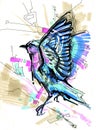 Blue bird thrush
