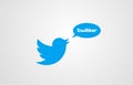 Blue bird twitter corporate business logo icon design for company