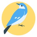 Blue bird, vector illustration, flat style, side Royalty Free Stock Photo