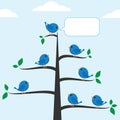 Blue birds