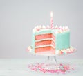 Blue Birthday Cake with Pink Layers Royalty Free Stock Photo