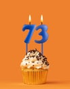 Blue birthday candle and cupcake - Number 73
