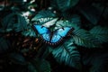 Blue and black butterfly perched on leaf, created using generative ai technology Royalty Free Stock Photo