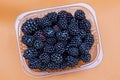 Blue and black ripe blackberries in a plastic box