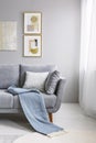 Blue blanket on grey couch against the wall with gold paintings Royalty Free Stock Photo