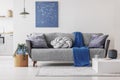 Blue blanket and grey knot pillow on trendy sofa in chic living room Royalty Free Stock Photo