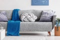 Blue blanket and grey knot pillow on trendy sofa in chic living room Royalty Free Stock Photo