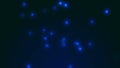 Blue blinking particles on the dark background