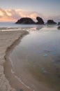 Blue Blubber jelliyfish at sunrise