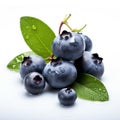 Infused Symbolism: Smooth And Shiny Blueberries With Leaves