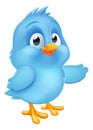 Blue Bluebird Baby Bird Cartoon Pointing