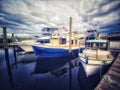 Blue Boat in dock