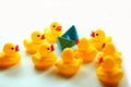 A blue boat paper and yellow rubber ducks. Royalty Free Stock Photo