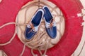 Blue boat shoes on wooden background near red lifebuoy and rope. Top view. Royalty Free Stock Photo