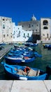 Blue boats in Monopoli Royalty Free Stock Photo