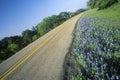 Blue bonnets and wild spring flowers along a road in Texas Royalty Free Stock Photo