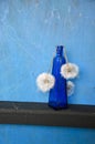 Blue bottle with dry white dandelion clocks