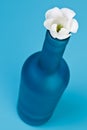 Blue bottle with flower Royalty Free Stock Photo