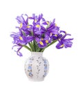 Blue bouquet of irises