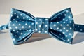 Blue bow tie