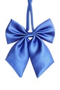 Blue bow tie for women Royalty Free Stock Photo