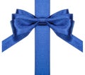 Blue bow with vertical cut ends on ribbon close up