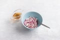 A blue bowl with chopped red onions and a gravy boat with apple cider vinegar for marinating. Cooking delicious homemade food Royalty Free Stock Photo