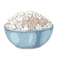Blue bowl of cottage cheese