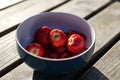 Blue bowl filled with freshly-picked strawberries Royalty Free Stock Photo